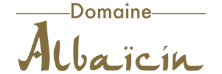 Albaicin